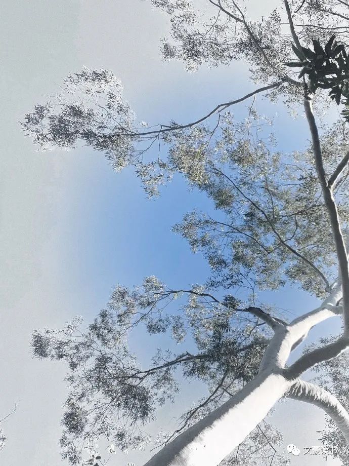 什么是赚钱的能力_赚钱能力是人的第一能力_赚钱能力是什么意思