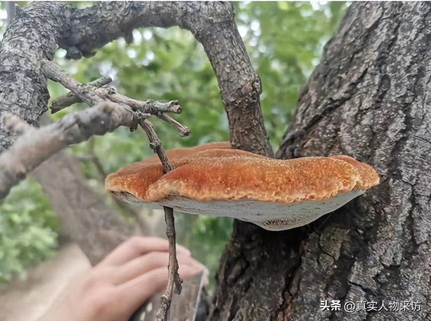 北京赚钱容易吗_北京什么赚钱_北京赚钱教程
