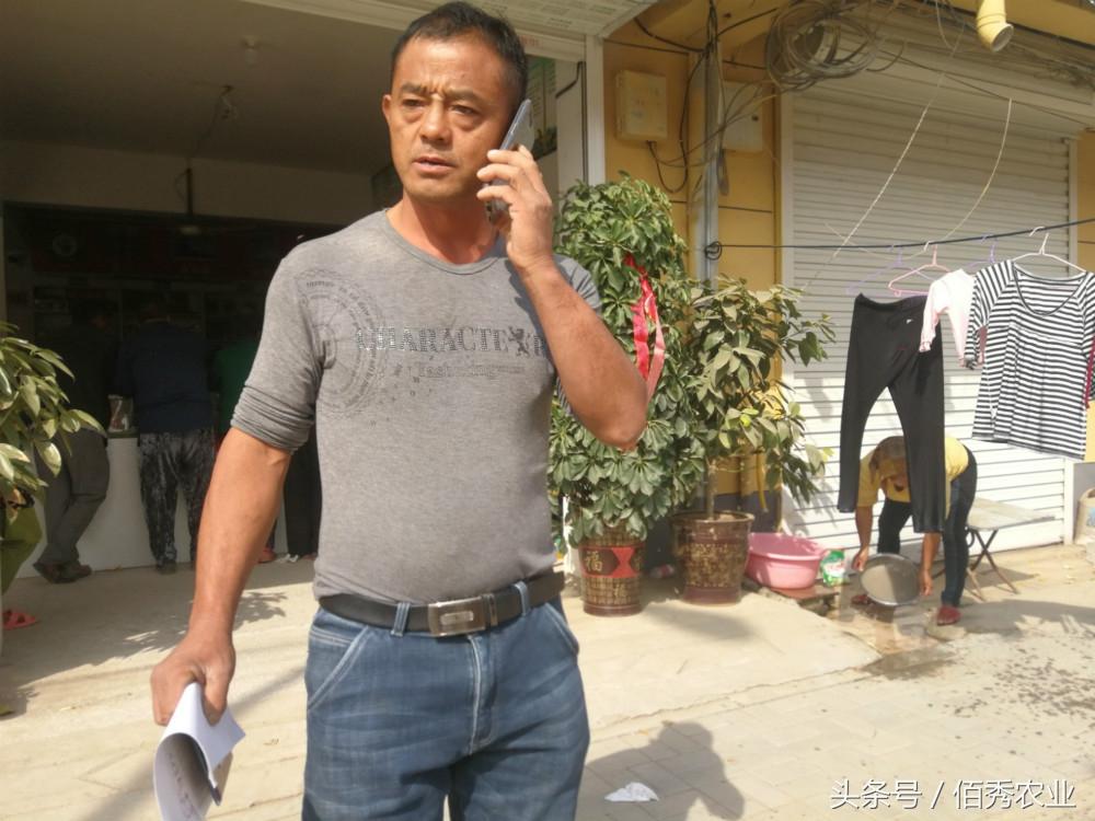 农业赚钱项目_农业赚钱新思路_农业什么赚钱