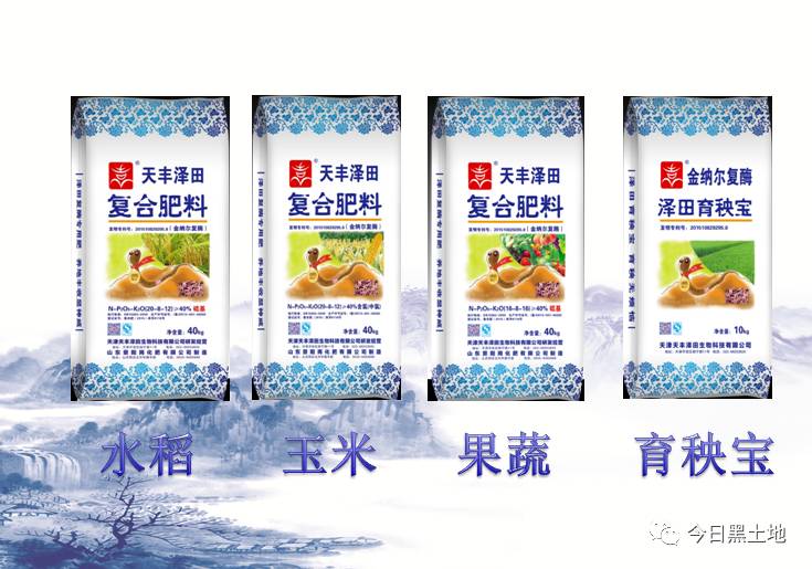 图片[7]-冷棚种植什么赚钱-天隆小课堂：一棵充满惊喜的菜-优创圈