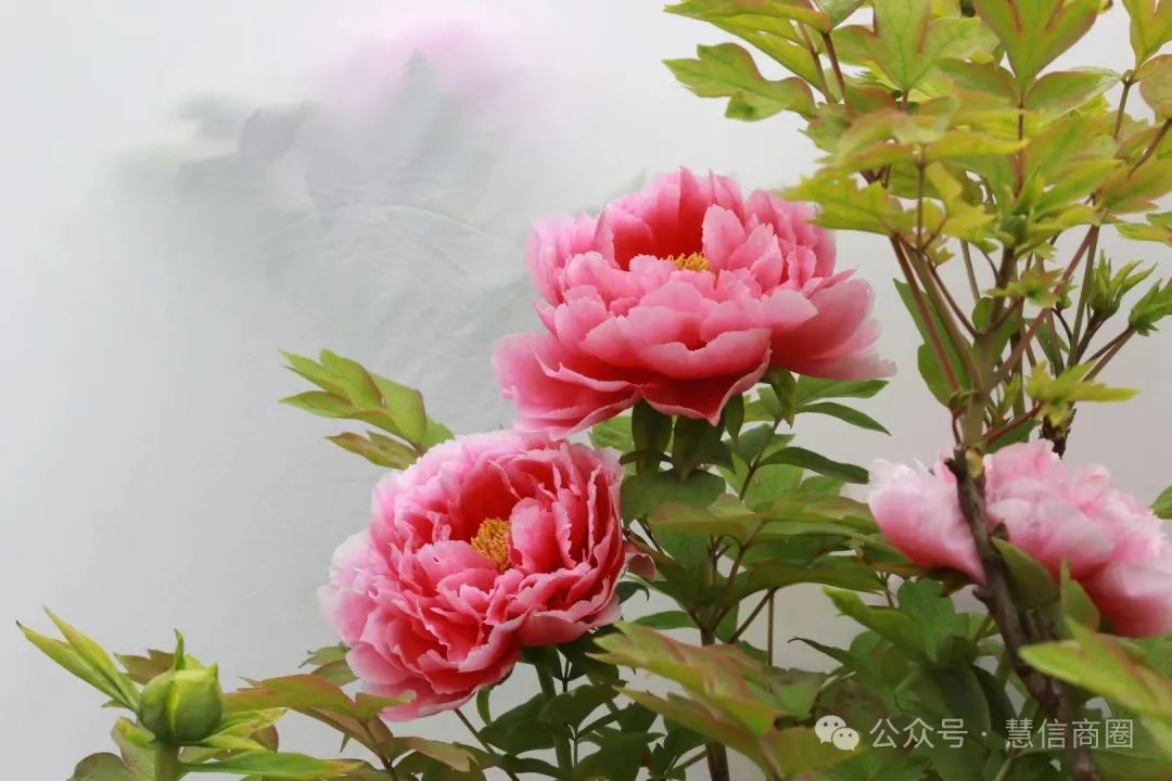 摆地摊小吃赚钱吗_摆地摊小吃赚钱吗真实经历_摆地摊小吃什么赚钱