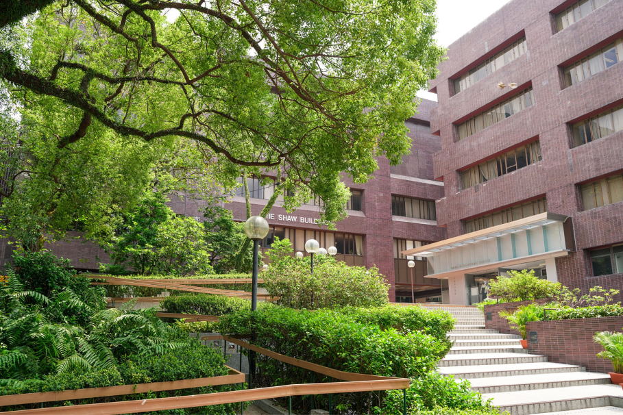 香港什么赚钱-香港求学如何选专业？哪些专业就业最赚钱？-优创圈