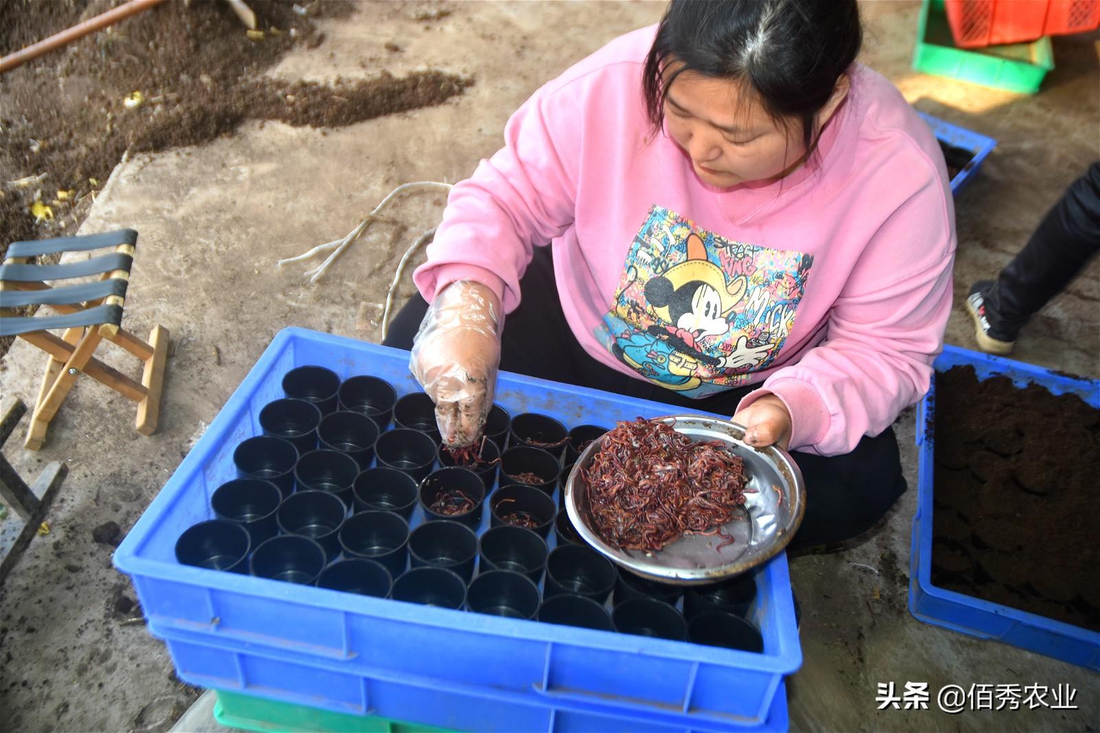 养殖什么风险小利润大_养殖赚钱风险小的企业_养殖什么最赚钱风险小