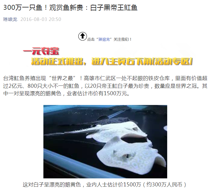养殖什么鱼好养又赚钱_赚钱养鱼什么意思_养啥鱼赚钱