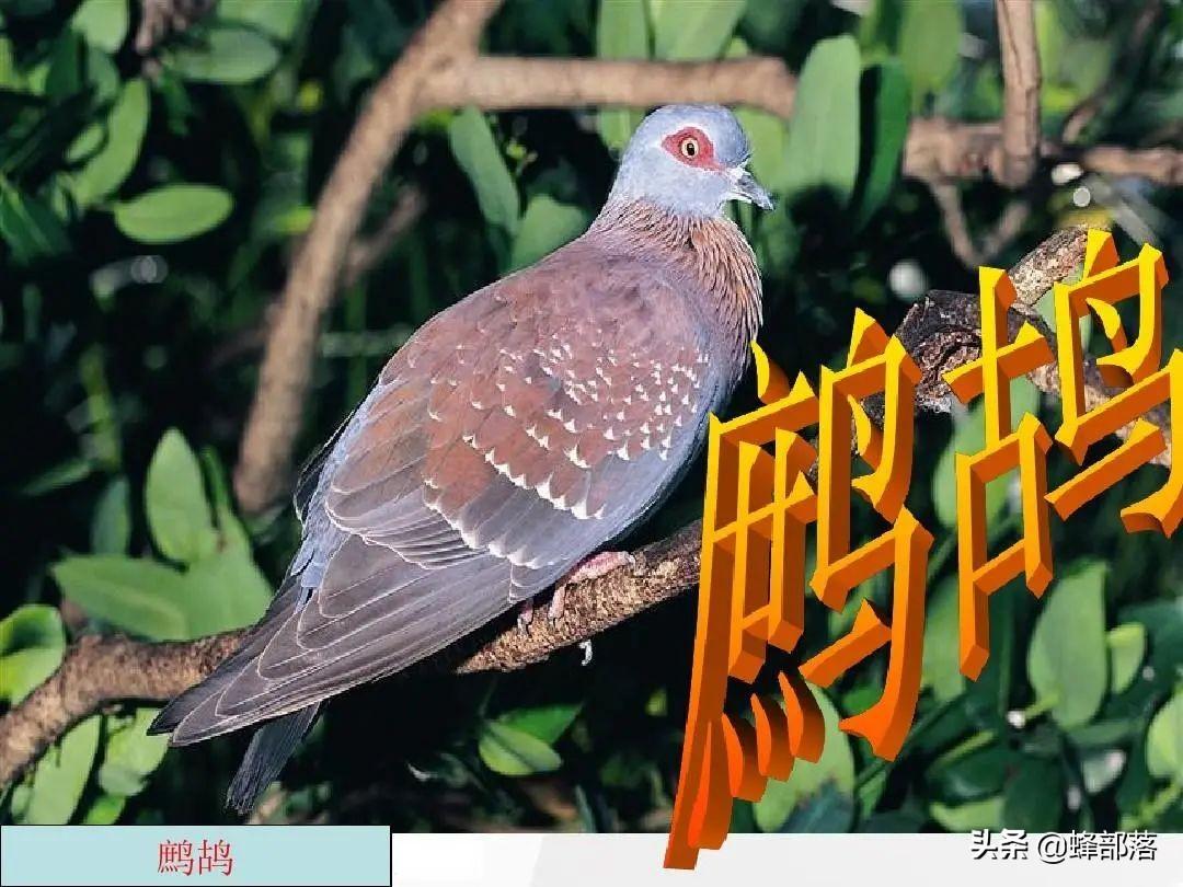 养殖挣钱_养殖赚钱成本低吗_养殖什么赚钱快成本低
