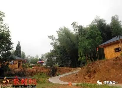 现在做什么小本生意赚钱_做生意挣钱_当下做生意小本赚钱
