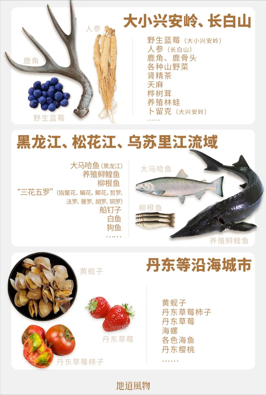 东北早市几点出摊_东北早市卖什么赚钱_东北赚钱卖早市怎么样