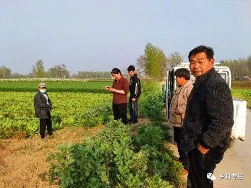 农村种植业什么最赚钱_种植业什么最赚钱农村_种植业赚钱农村有补贴吗