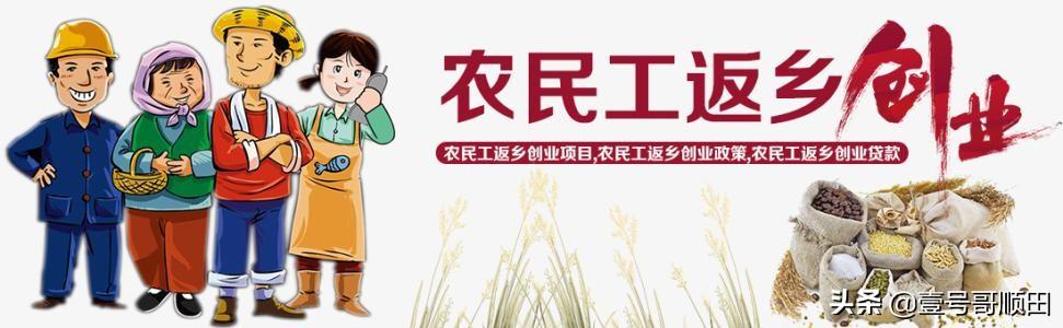 农村人做什么赚钱_赚农村人的钱_做农村人的生意赚钱