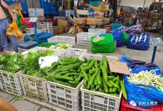 卖什么菜赚钱-在农村摆摊卖蔬菜一个月能赚多少钱？卖蔬菜的利润到底有多大？-优创圈