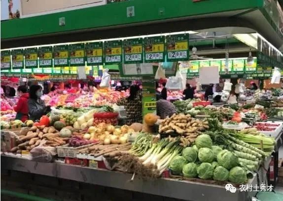 卖菜能赚到钱吗_卖菜能赚钱_卖什么菜赚钱