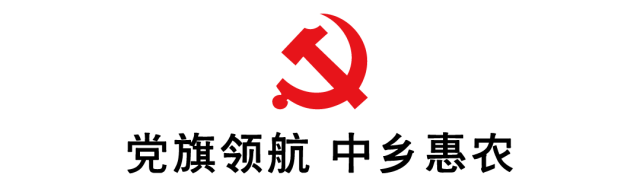 最赚钱的树苗_农村种什么树最赚钱_赚钱树农村种植视频
