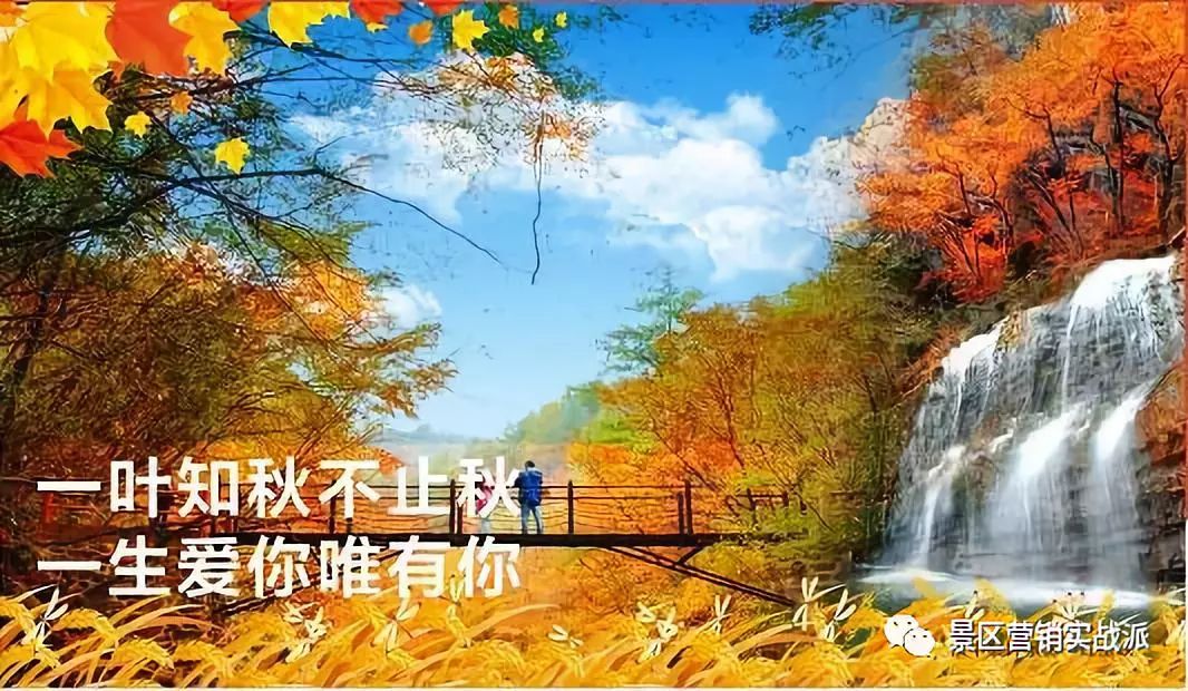 景区做什么生意最赚钱-【实战总结】：在景区做什么生意才能赚钱呢？-优创圈