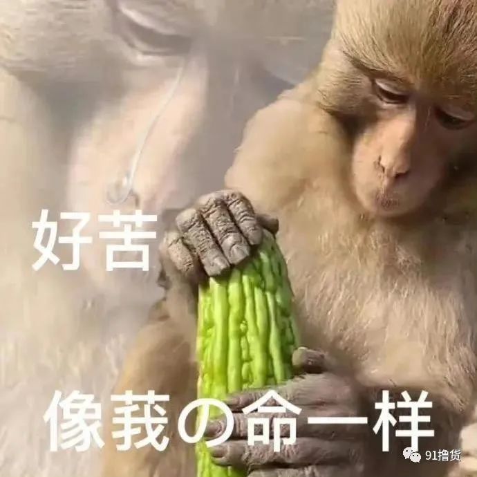 做什么生意最赚钱手机_生意赚钱手机做什么好_生意赚钱手机做什么