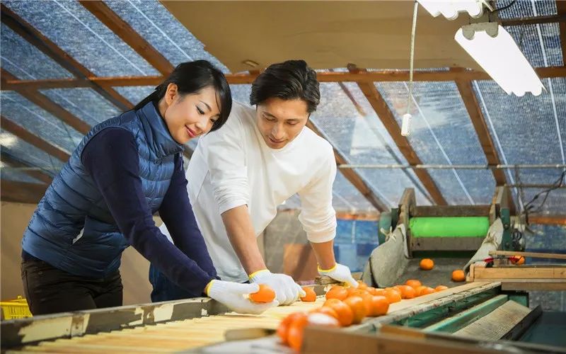 什么项目投资赚钱-开办家庭小工厂，现在有哪些项目投资小、赚钱快、收益高呢？-优创圈