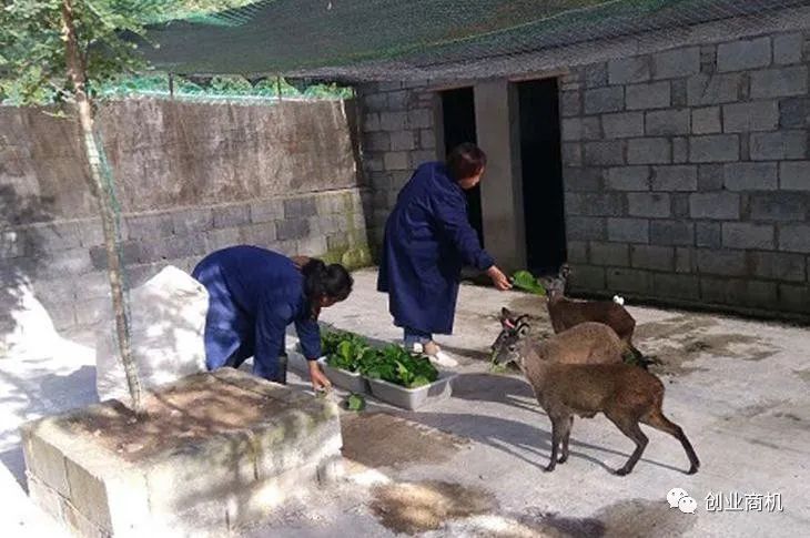 在农村卖什么吃的赚钱_在农村卖小吃赚钱吗_赚钱卖农村吃饭赚钱吗