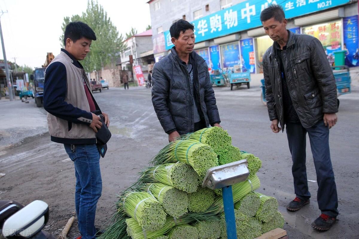 网店做什么赚钱_网店最赚钱的项目_做网店真的能赚钱吗