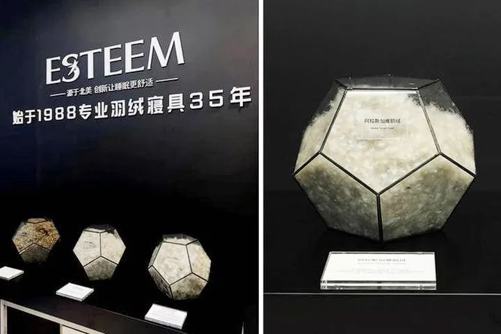 加拿大做生意怎么样_在加拿大做生意需要什么条件_加拿大做什么生意赚钱