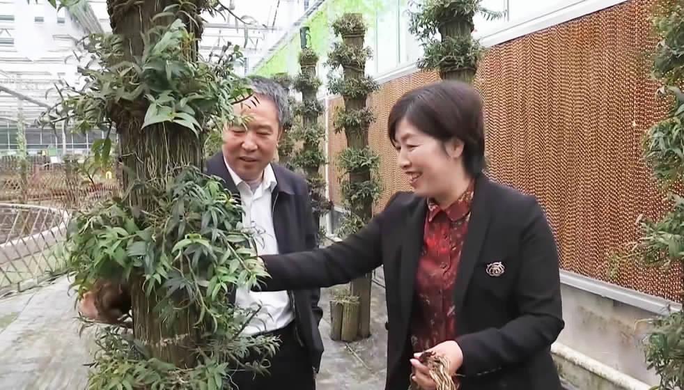 种植什么植物最赚钱_赚钱的种植业_种植物挣钱
