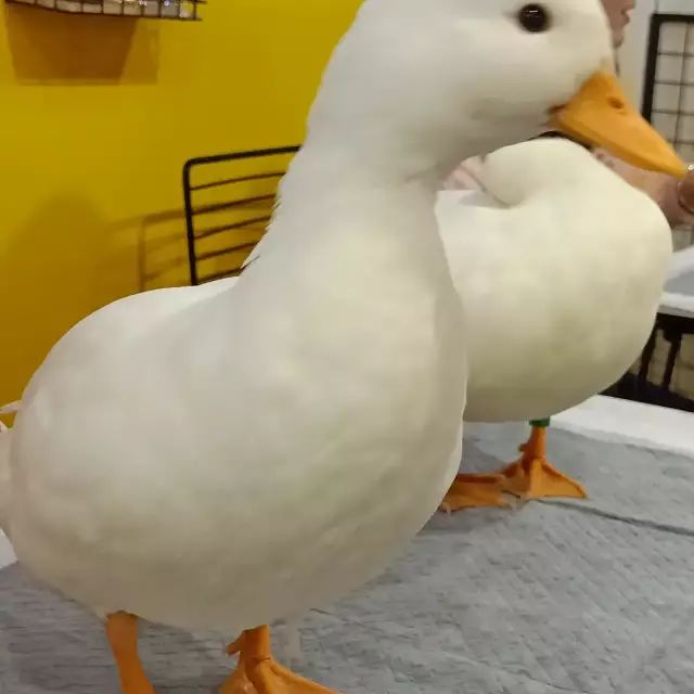 适合女孩子开店赚钱的_女孩开什么店比较赚钱_赚钱女孩店开比较好吗
