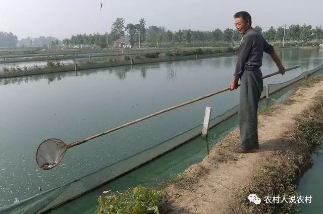 当下赚钱行业_赚钱行业现在是第几代了_现在最赚钱的行业是什么