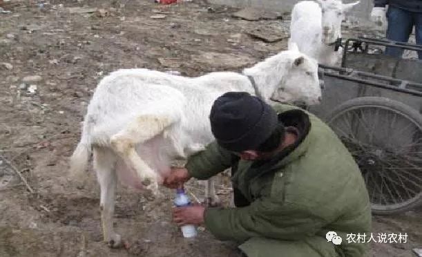 现在最赚钱的行业是什么_赚钱行业现在是第几代了_当下赚钱行业