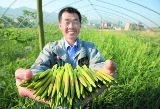 赚钱农村投资项目是真的吗_农村投资的挣钱项目_在农村投资什么项目赚钱