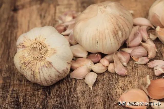 冷库储存什么赚钱_储存什么赚钱_赚钱存钱