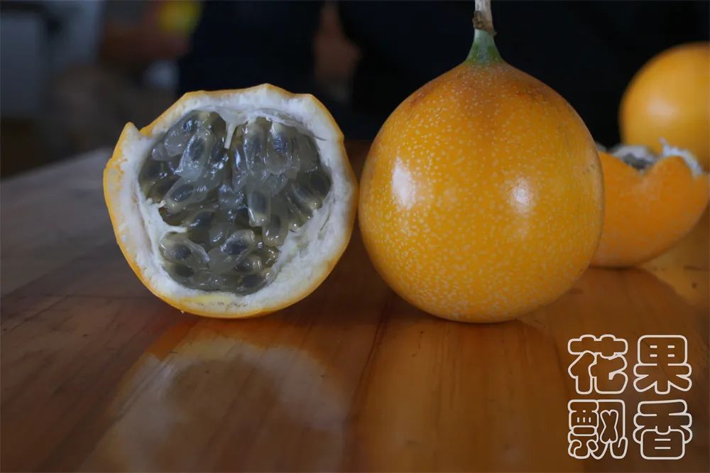 图片[2]-广西种什么果树最赚钱-做农业如果能年年稳定赚钱，才是真正的高手-优创圈