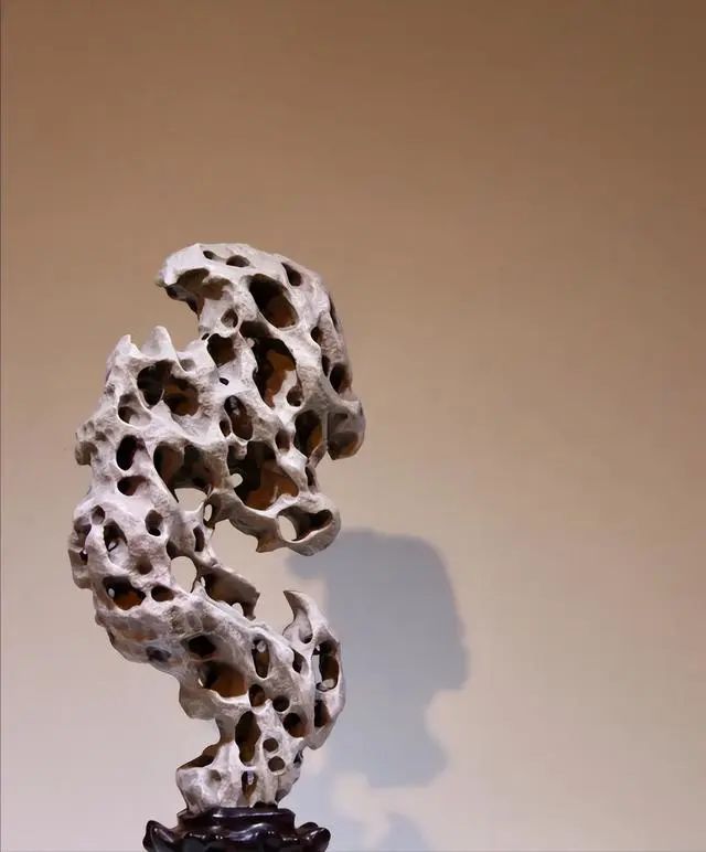 王菲的钱谁打理_王菲靠什么赚钱_王菲做生意