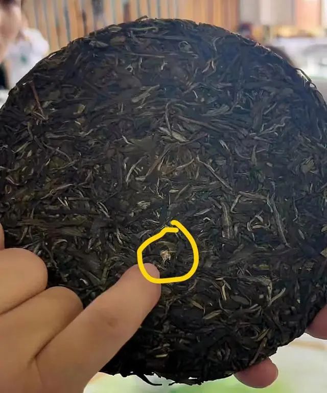 王菲做生意_王菲的钱谁打理_王菲靠什么赚钱