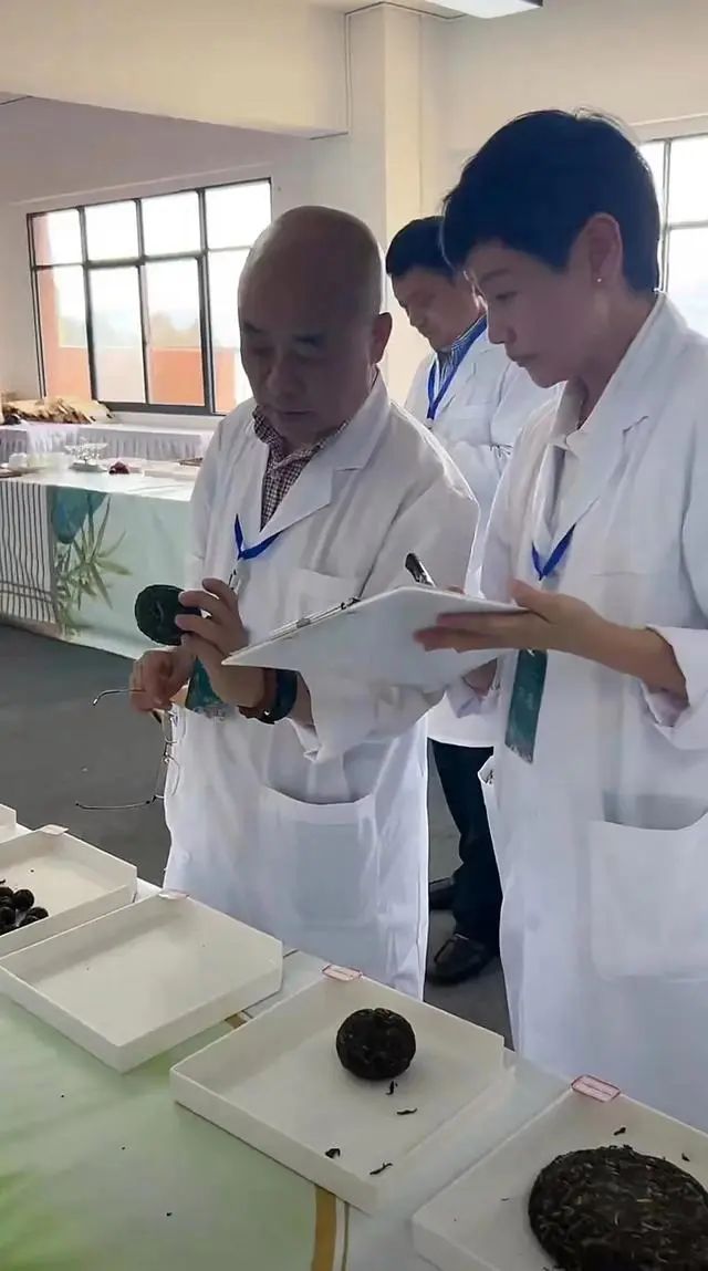 王菲靠什么赚钱_王菲的钱谁打理_王菲做生意