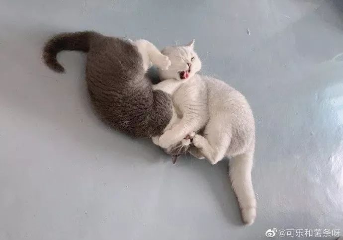 网上能赚钱的网站_为什么网红能赚钱_最能赚钱的网红