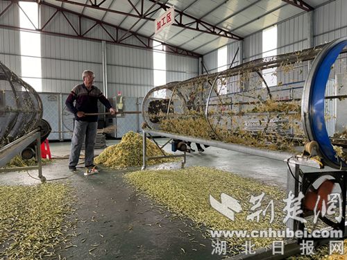 赚钱种花小游戏大全_种什么花赚钱_赚钱种花养花小游戏