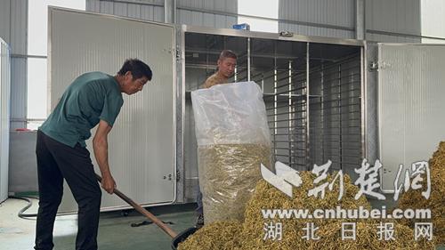赚钱种花小游戏大全_赚钱种花养花小游戏_种什么花赚钱