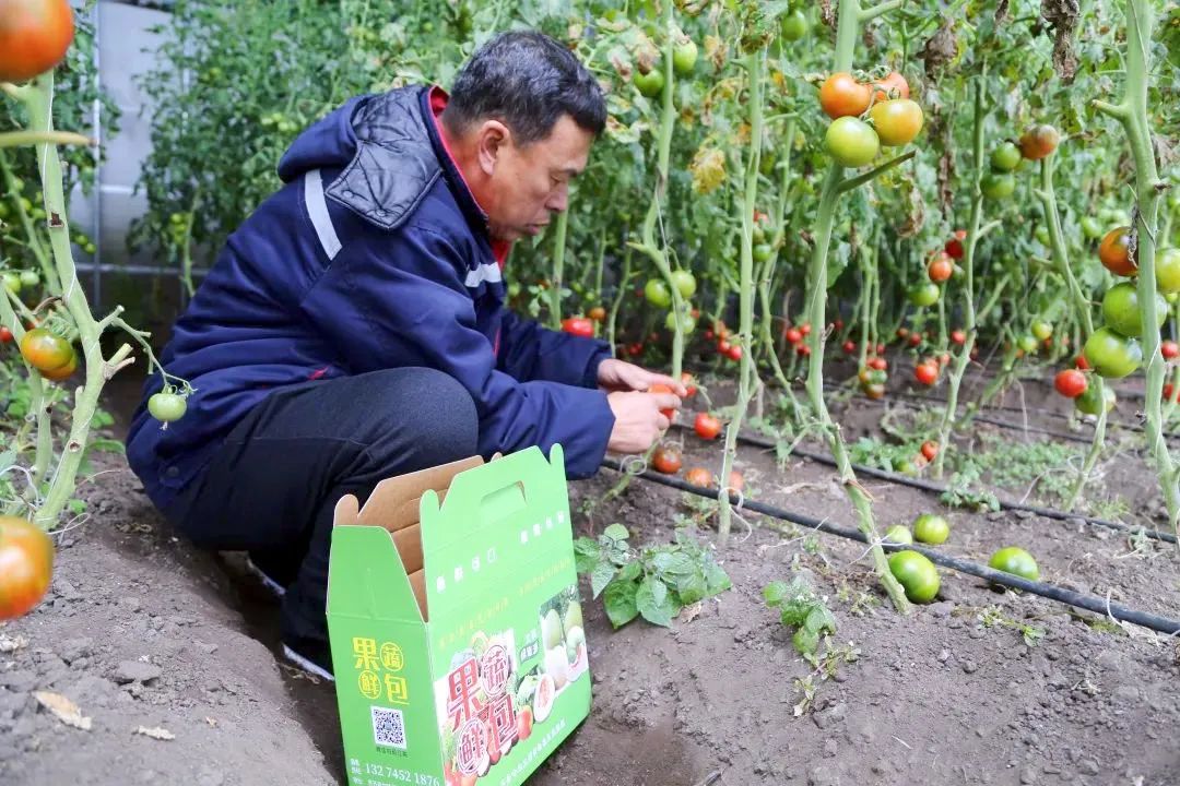 做温室大棚的利润是多少_温室大棚种植什么赚钱_温室大棚种什么赚钱