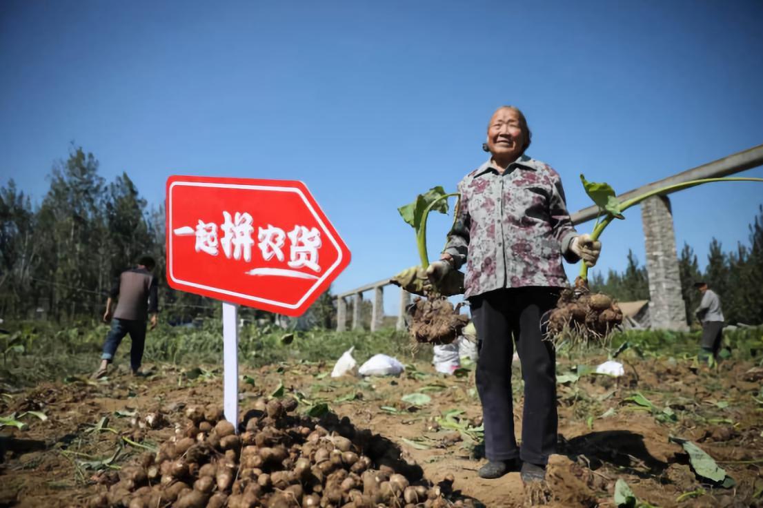 农场全民赚钱卖什么好_全民农场赚赚赚_全民农场卖什么最赚钱