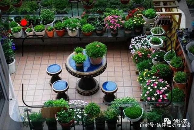 图片[2]-现在有什么赚钱的项目-暴利生意：5年赚到一百万，现在有哪些创业项目有可能实现呢？推荐几个-优创圈