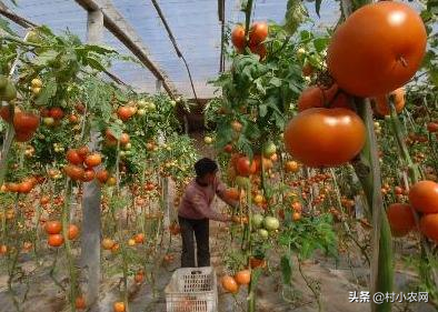 本钱小利润大_做什么最赚钱本小利大_做什么本小利大