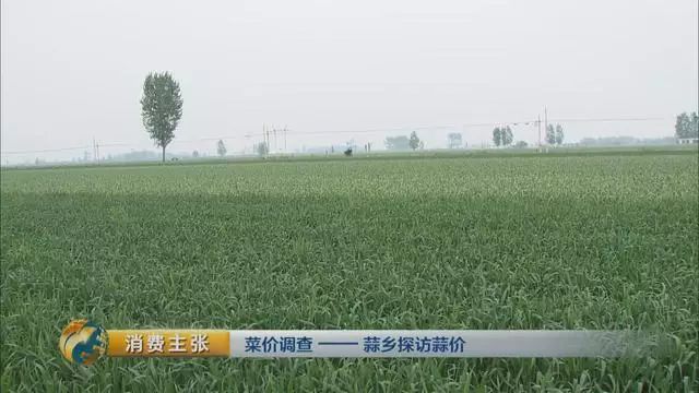 做什么买卖比较赚钱-【热点】“蒜你狠”卷土重来！大蒜商人一年狂赚两千万…-优创圈