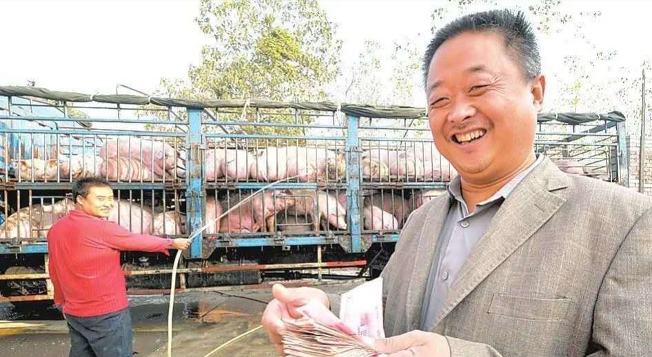 什么猪最赚钱-农村俗语“正月逢三亥，猪当黄金卖”，啥意思？19年养猪要赚钱？-优创圈