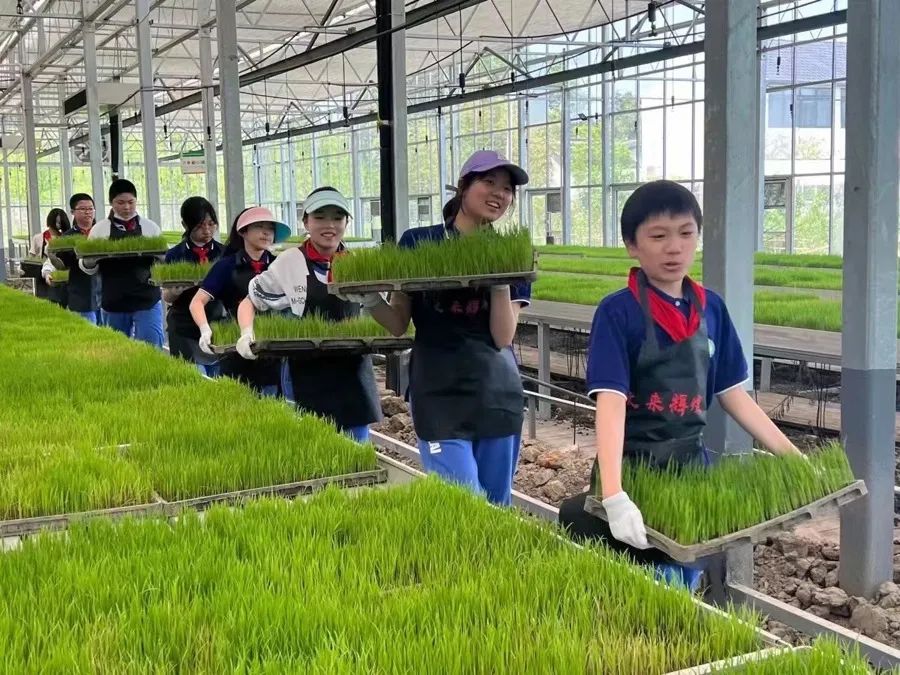 农场赚钱游戏是真的吗_qq农场种什么赚钱多_农场赚钱小游戏