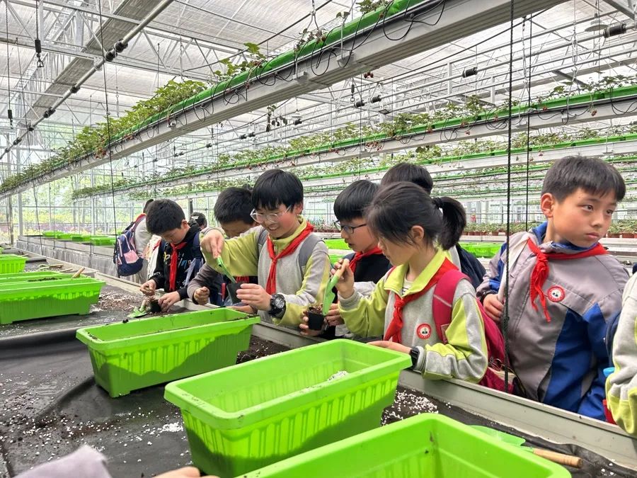 农场赚钱游戏是真的吗_农场赚钱小游戏_qq农场种什么赚钱多