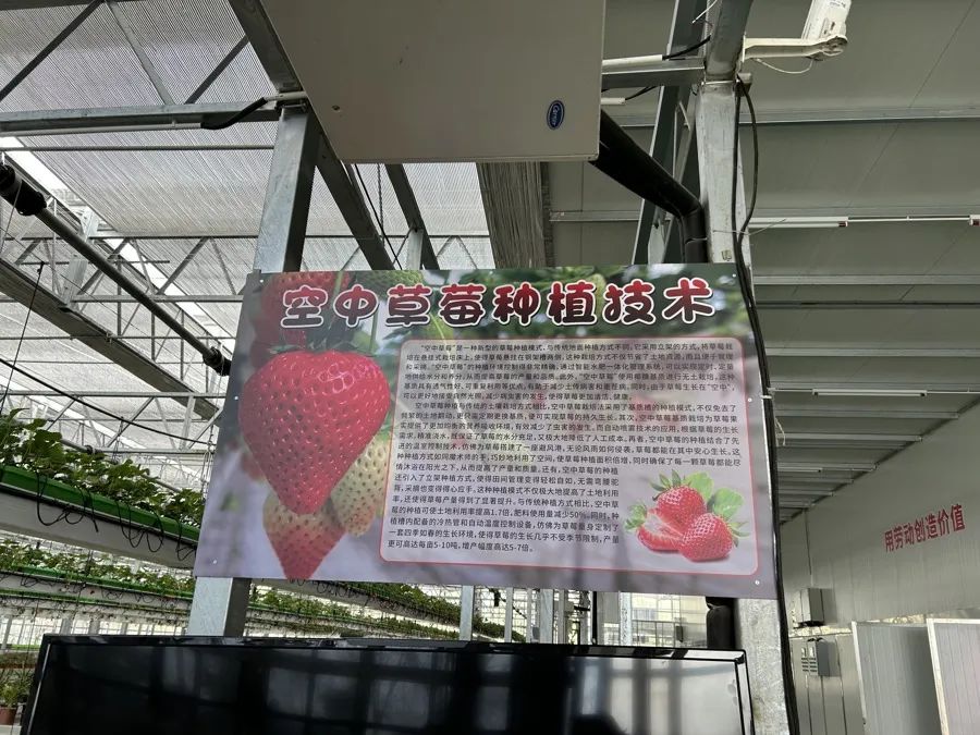 农场赚钱小游戏_qq农场种什么赚钱多_农场赚钱游戏是真的吗
