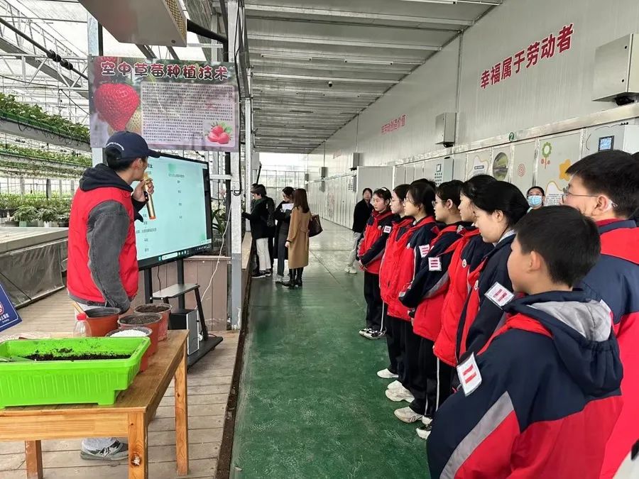 qq农场种什么赚钱多_农场赚钱游戏是真的吗_农场赚钱小游戏