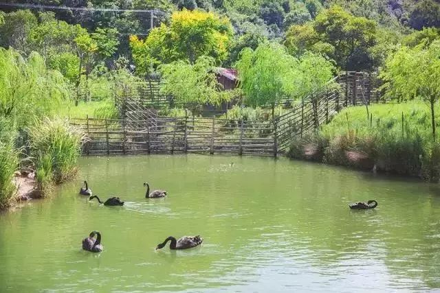 宁波做什么生意最赚钱_宁波做小生意_宁波做生意好不好做
