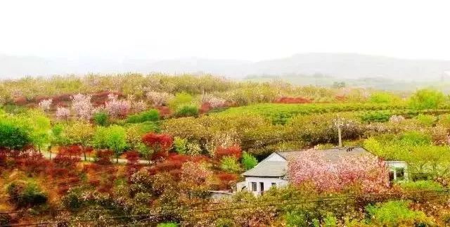宁波做生意好不好做_宁波做什么生意最赚钱_宁波做小生意