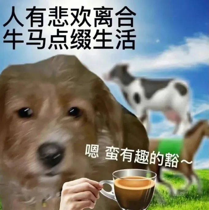 利用什么赚钱-“经济越不好，你越要利用有钱人赚钱”-优创圈