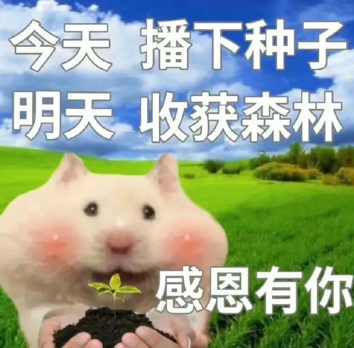 利用钱赚钱_用钱赚钱的项目_利用什么赚钱