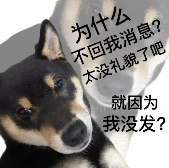 利用什么赚钱_利用钱赚钱_用钱赚钱的项目